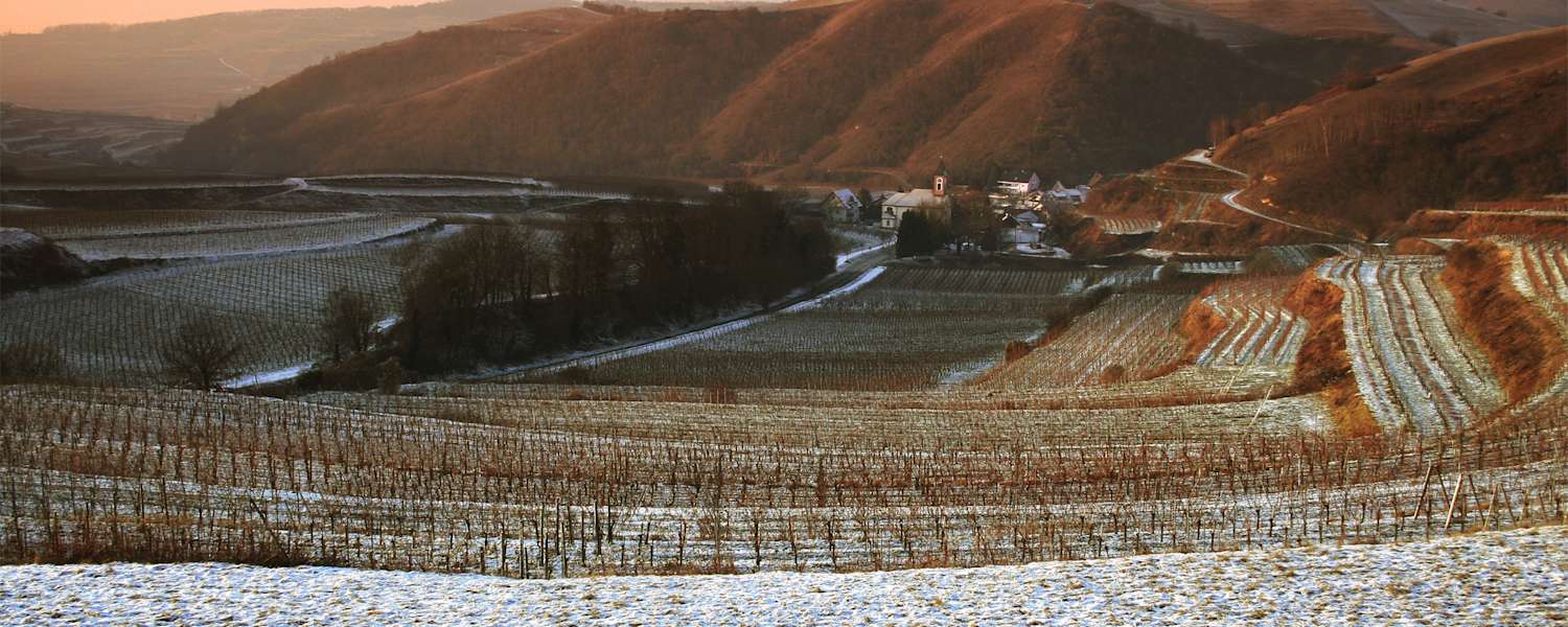 Kaiserstuhl Wandern