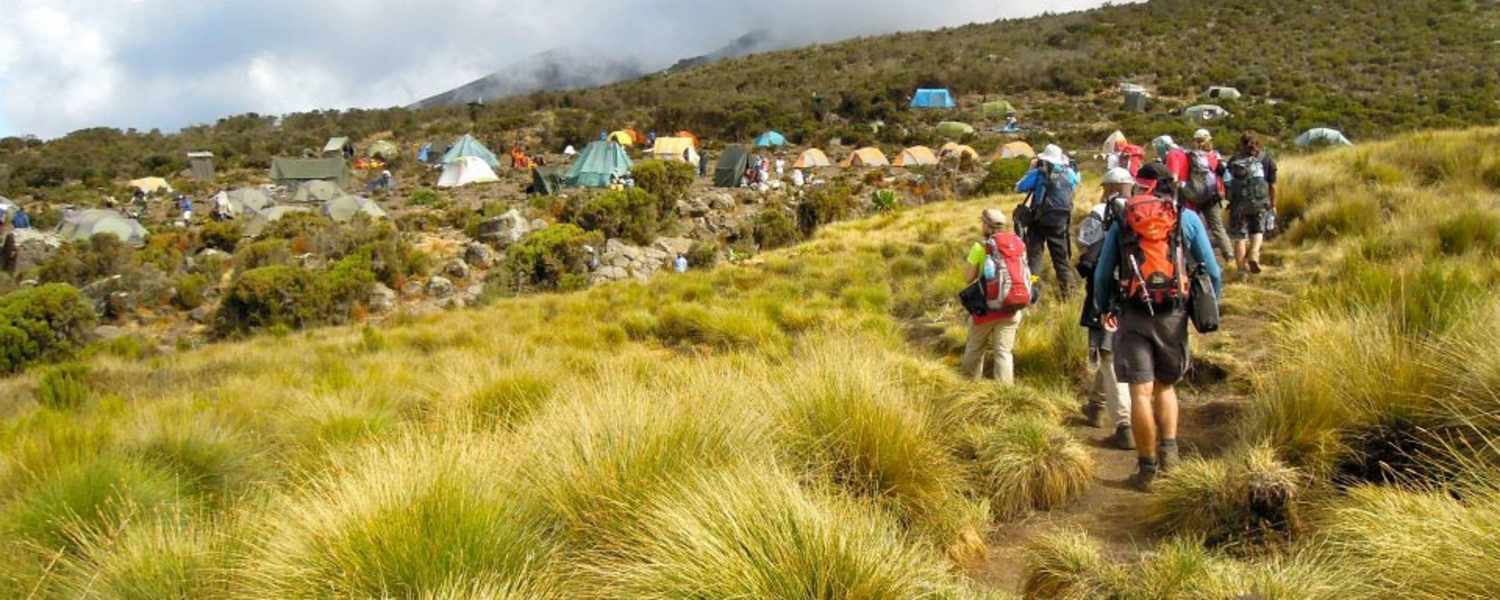KIlimanjaro Expedition
