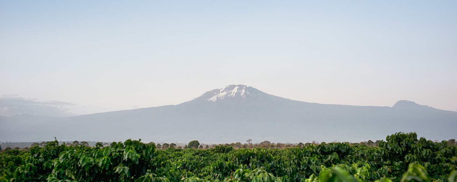 Reise Kilimanjaro