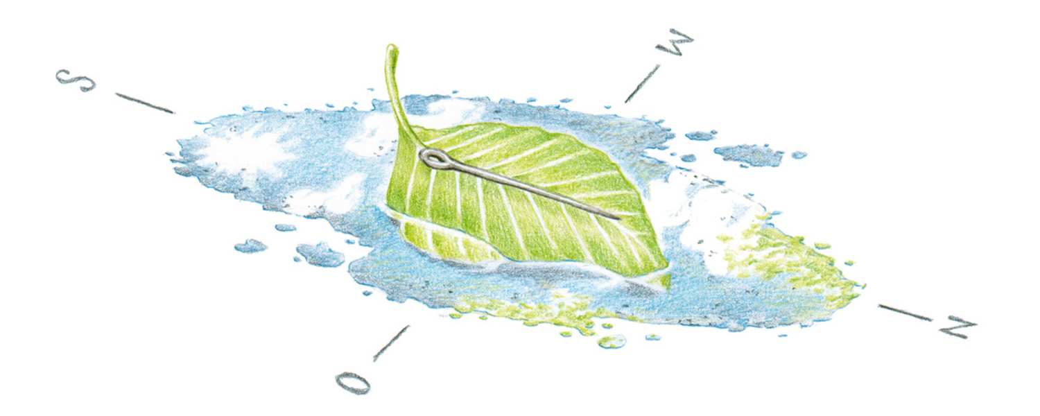 Schwimmender Kompass