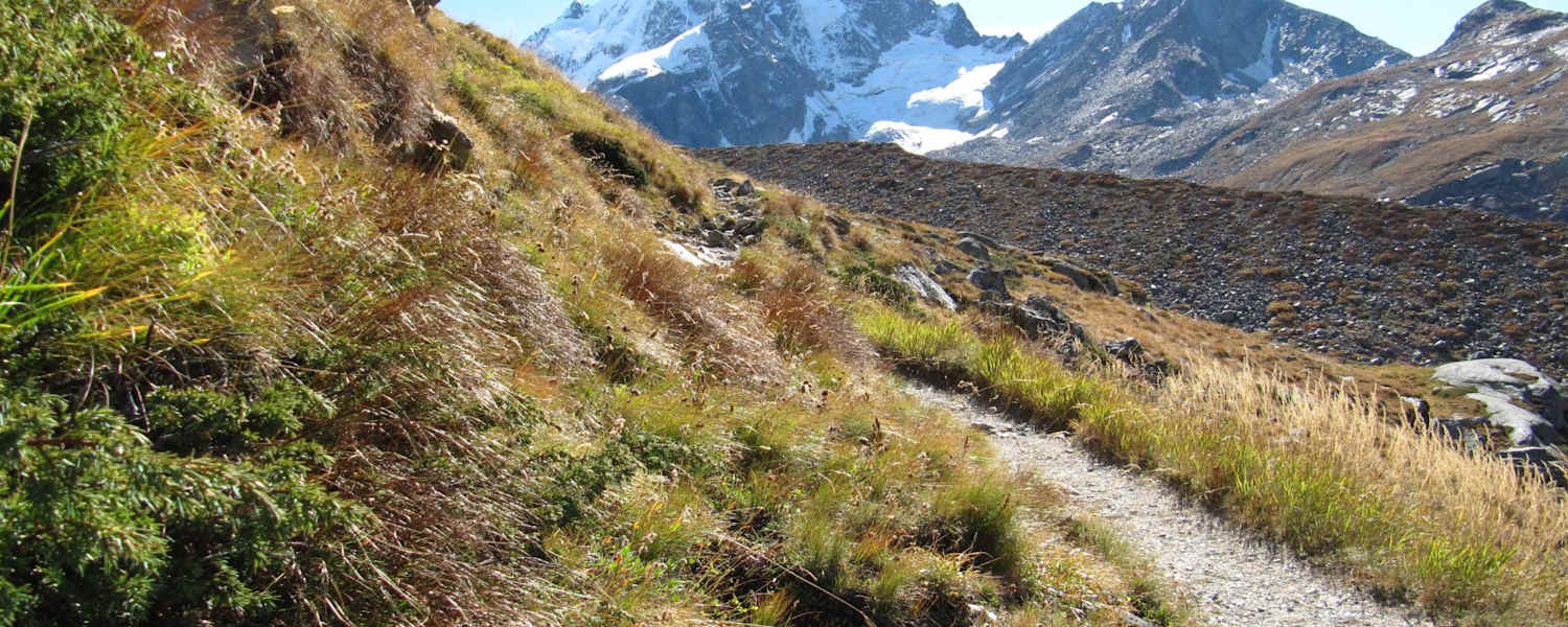 Weitwandern am Bernina Trek