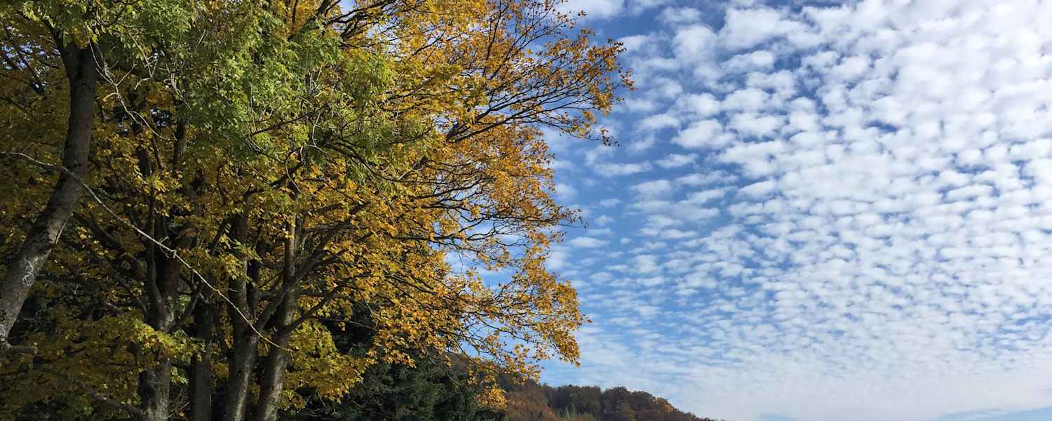 Bunte Wanderungen für den Herbst