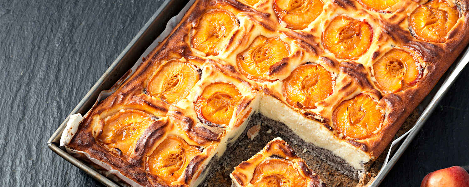 Topfen-Mohn-Marillen-Kuchen