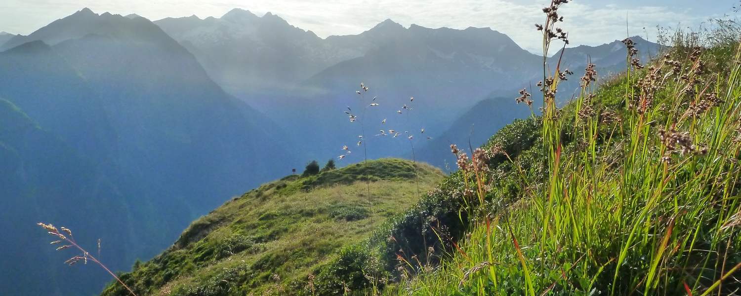 Morgenstimmung am Berg