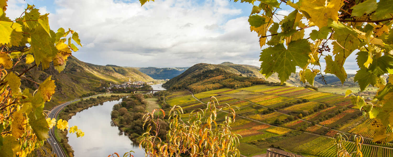 Die Moselschleife in Rheinland-Pfalz im Herbst