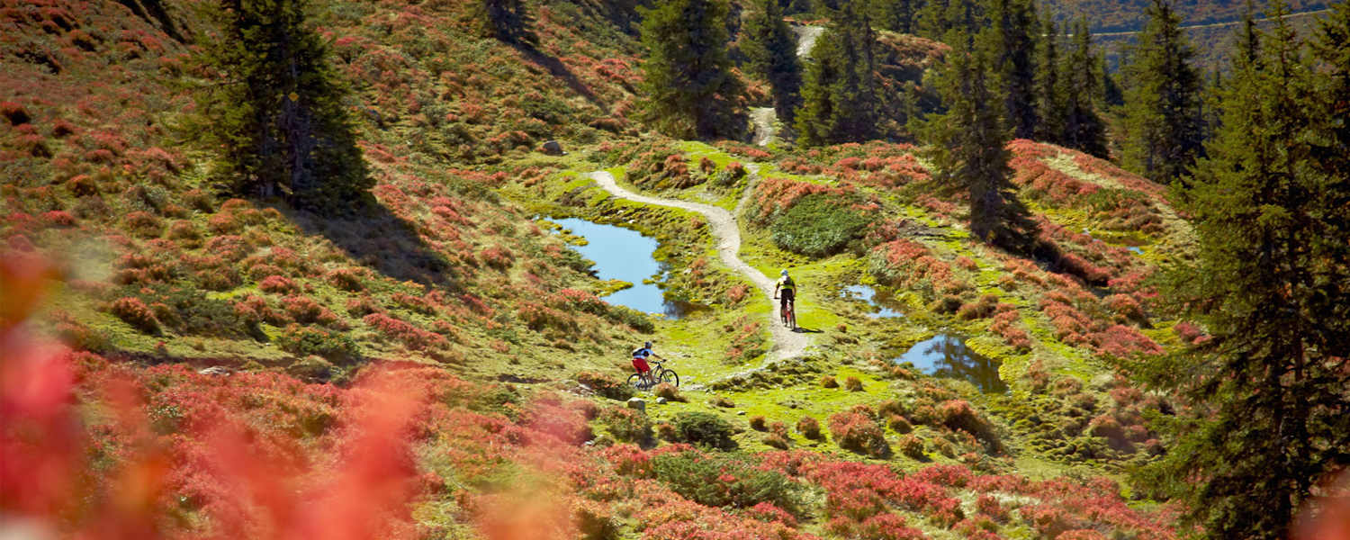 Hacklberg Trail mit dem Mountainbike