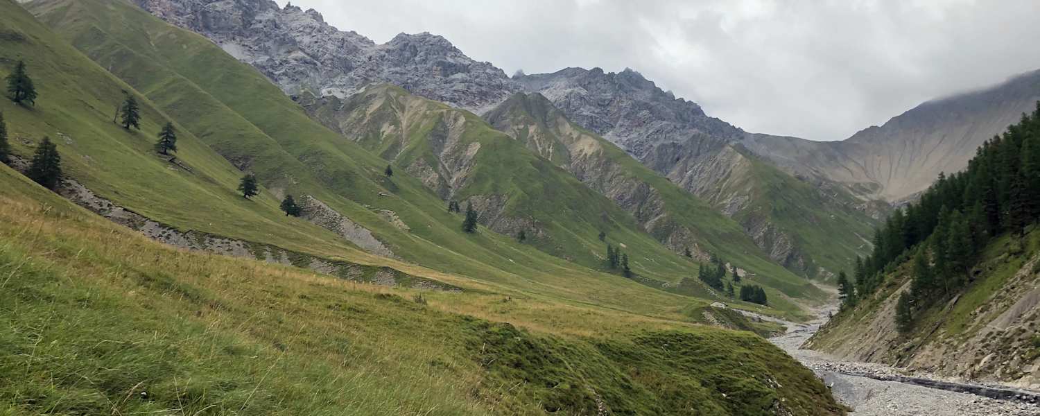 Schweizerischer Nationalpark