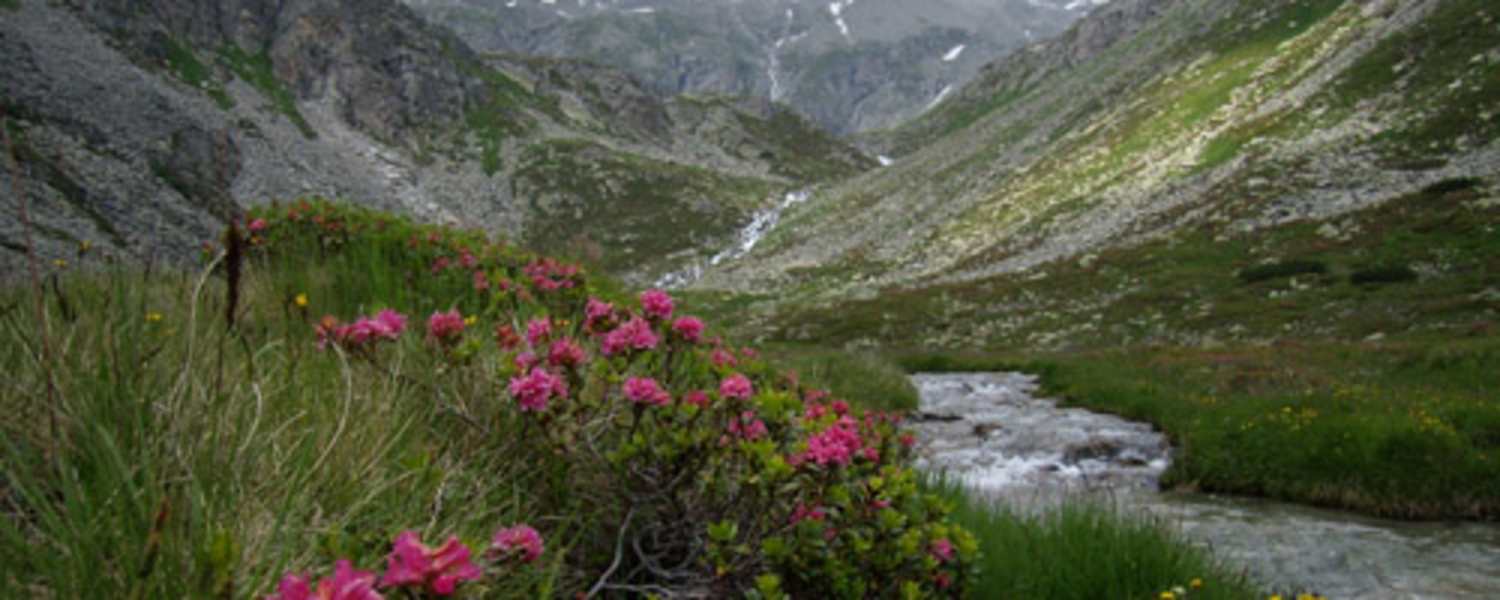 Das Zillertal - hier mitten im Hochgebirgsnaturpark Zillertaler Alpen