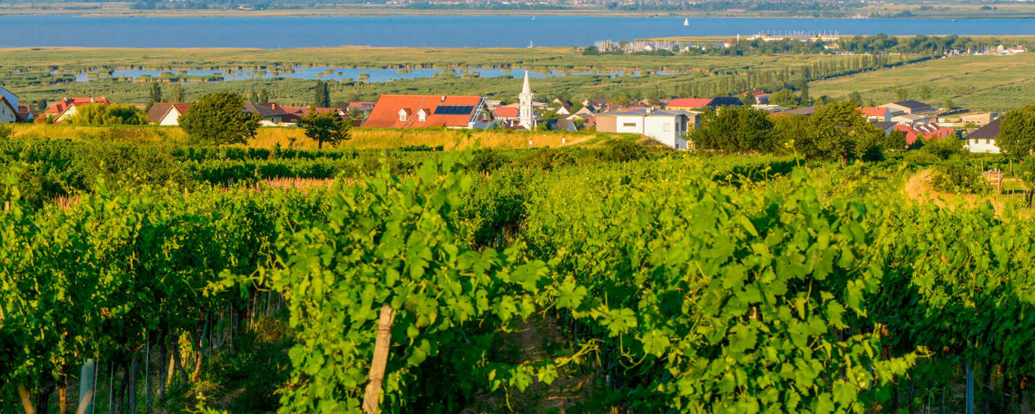 Mörbisch am Neusiedlersee