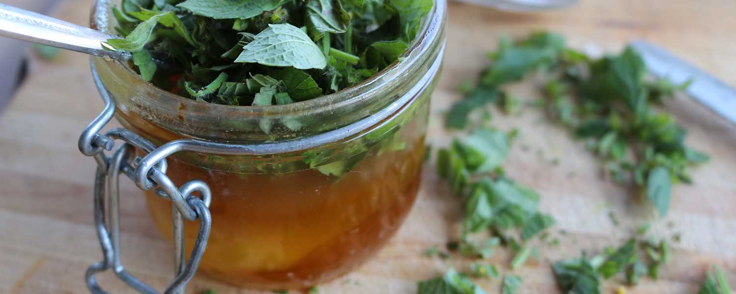 Kräuter Oxymel angerichtet mit Kräutern