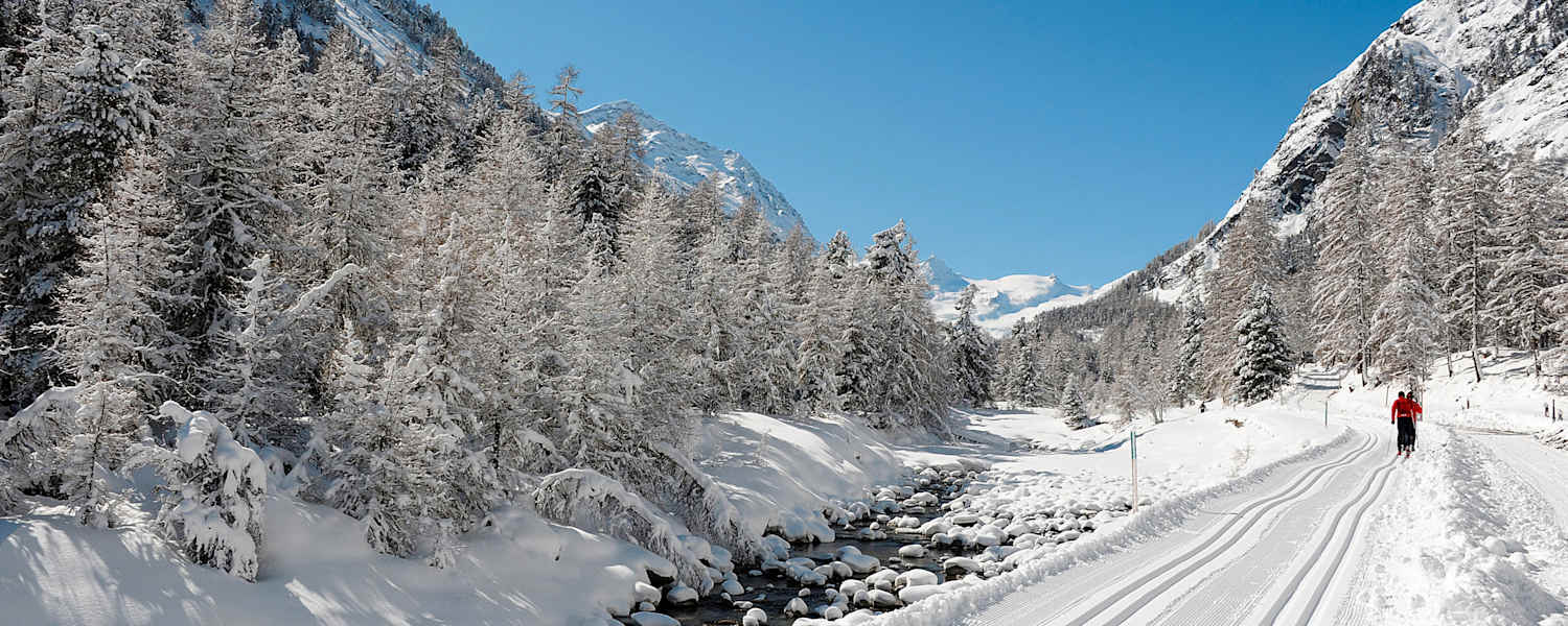 Langlaufen in Pontresina