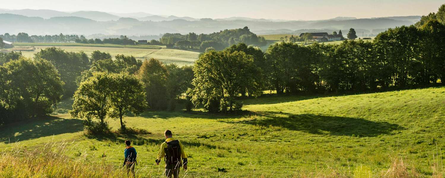 Der Goldsteig im Bayerischen Wald