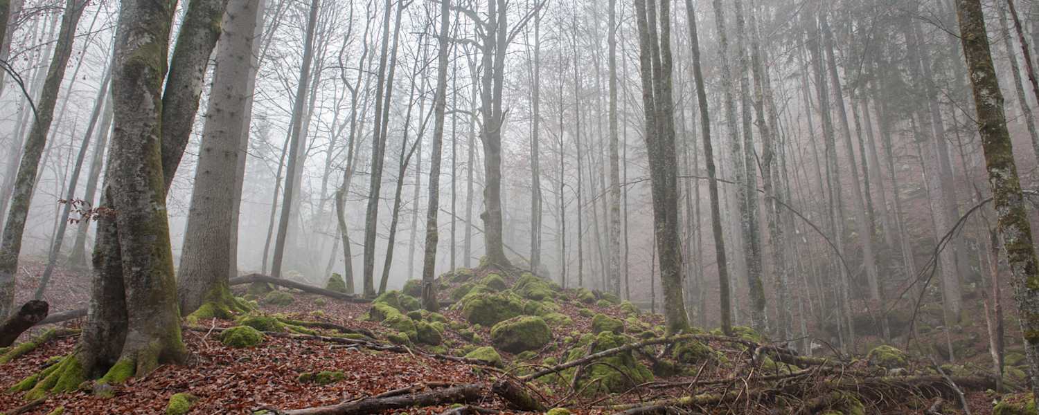 Höhlen-Expedition in den Weißenbacher Mauern