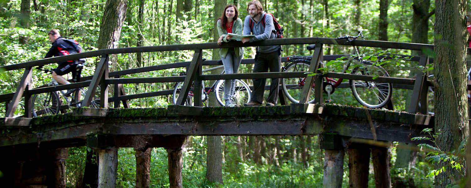 Fahrtwind Brandenburg Radfahren