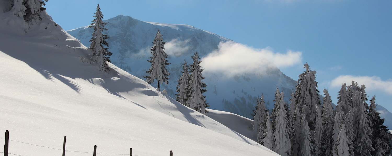 Mit Schneeschuhen durch den Winter