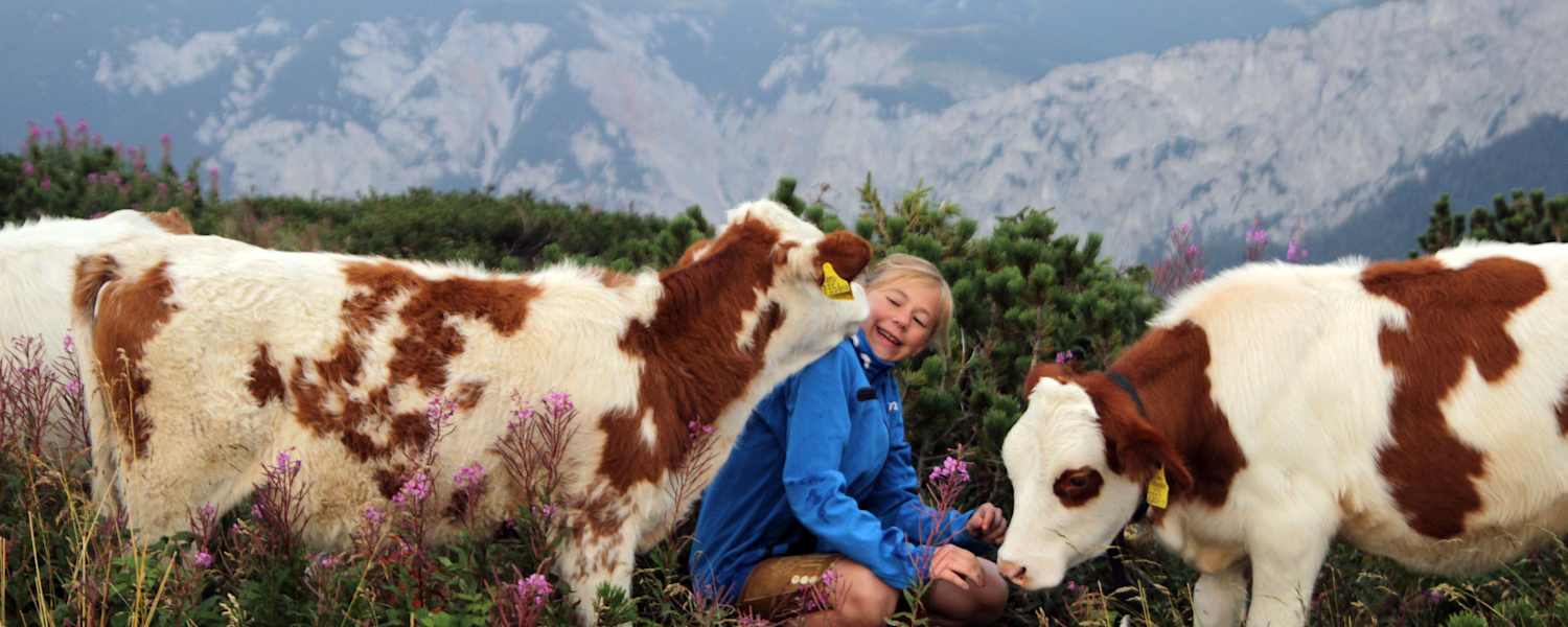 Mathias Kautzky Auf der Alm 