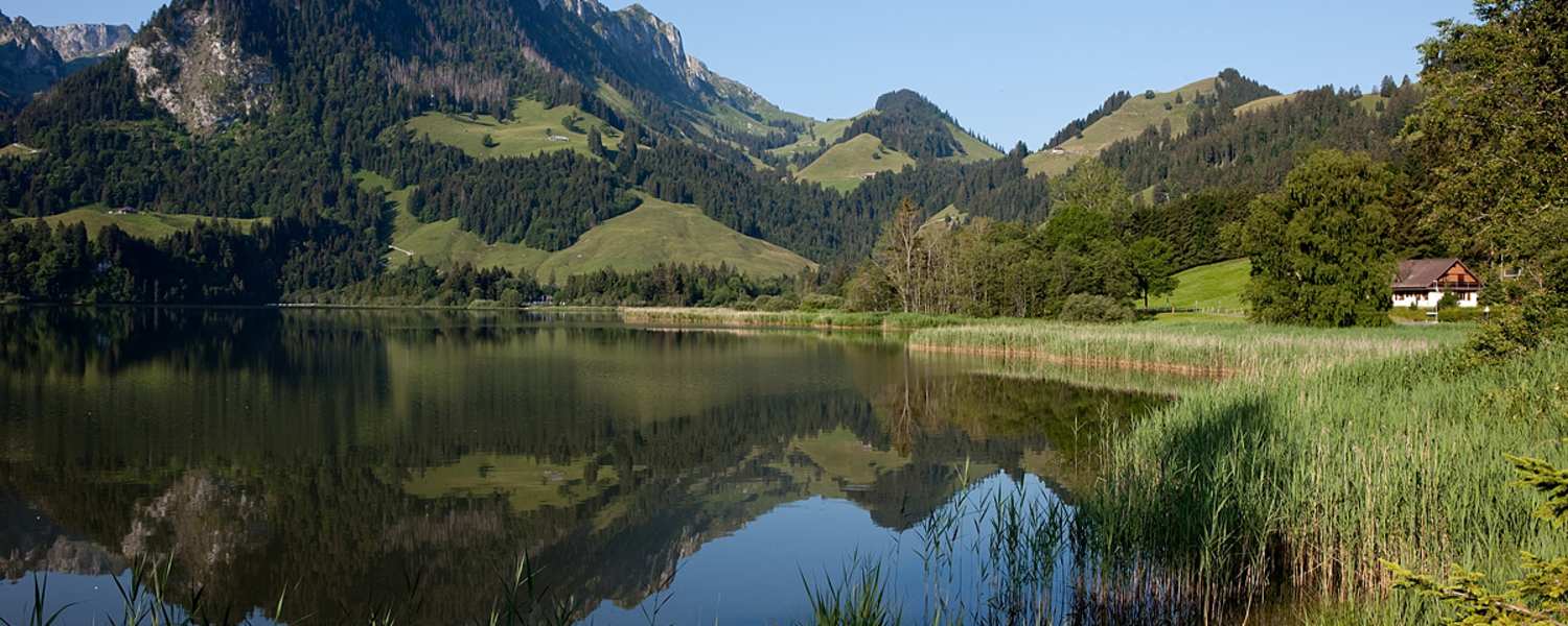 Schwarzsee Freiburg