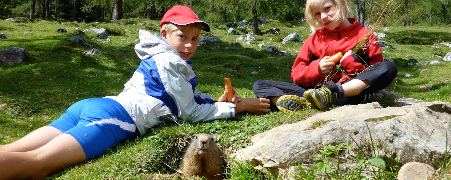 Murmeltierzeit: Wanderungen mit Pfiff