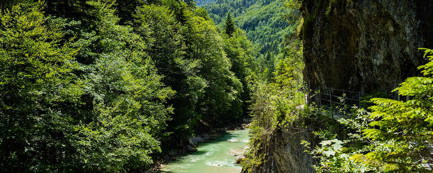Die Tiefenbachklamm im Alpbachtal