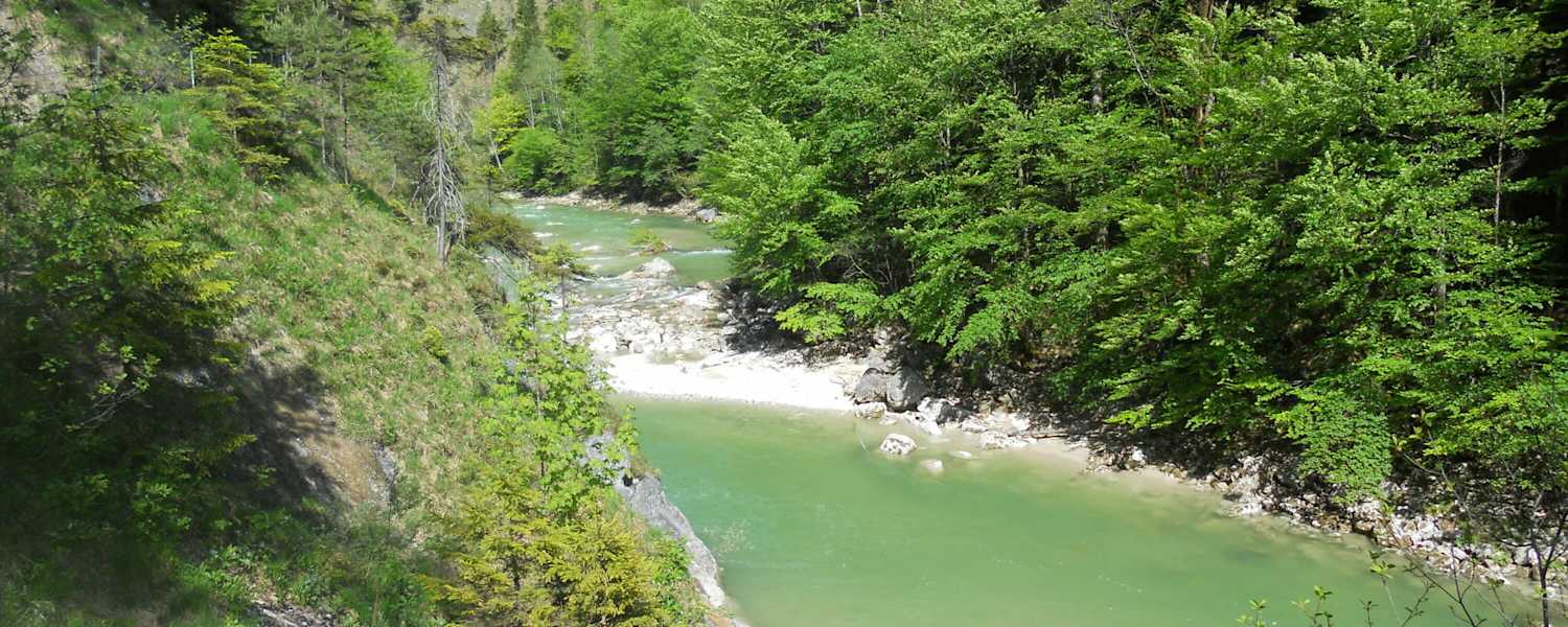 Die Tiefenbachklamm im Tiroler Brandenbergtal