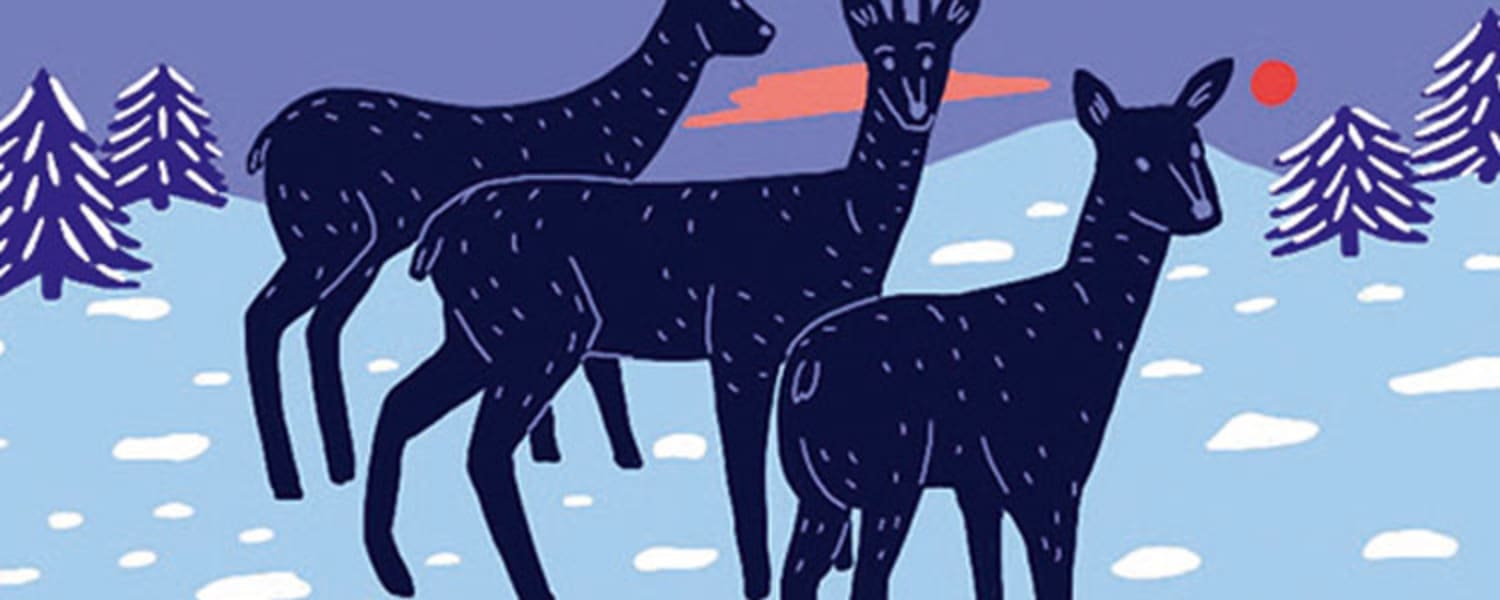 Den Lebensraum von Tieren gilt es zu schützen