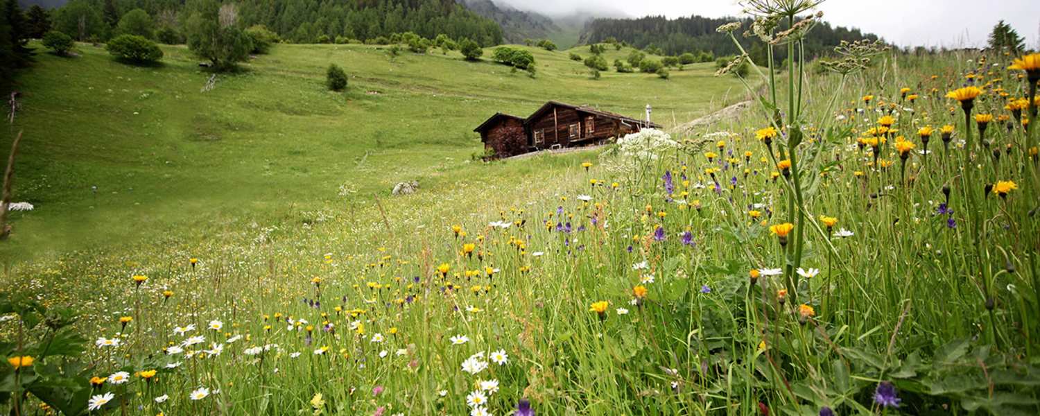 Wallis Galmihornhütte 