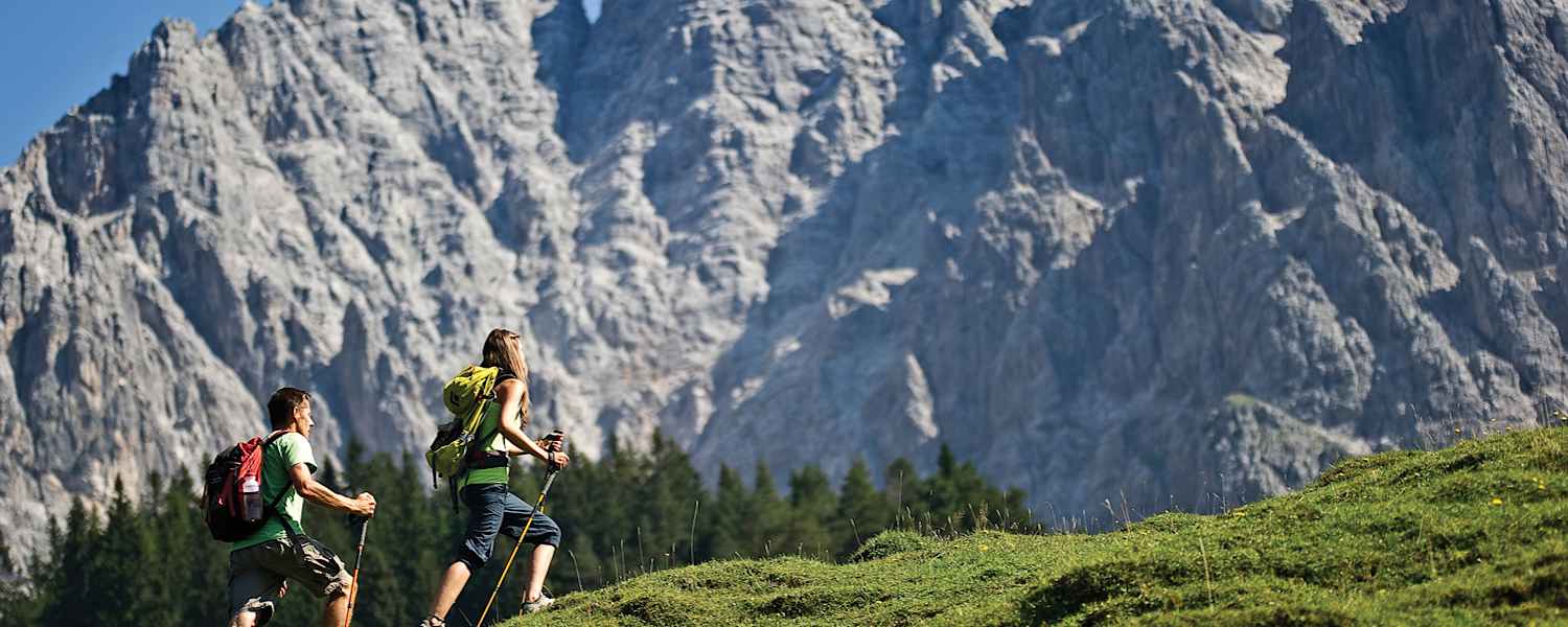Überall gibt es was zu entdecken.