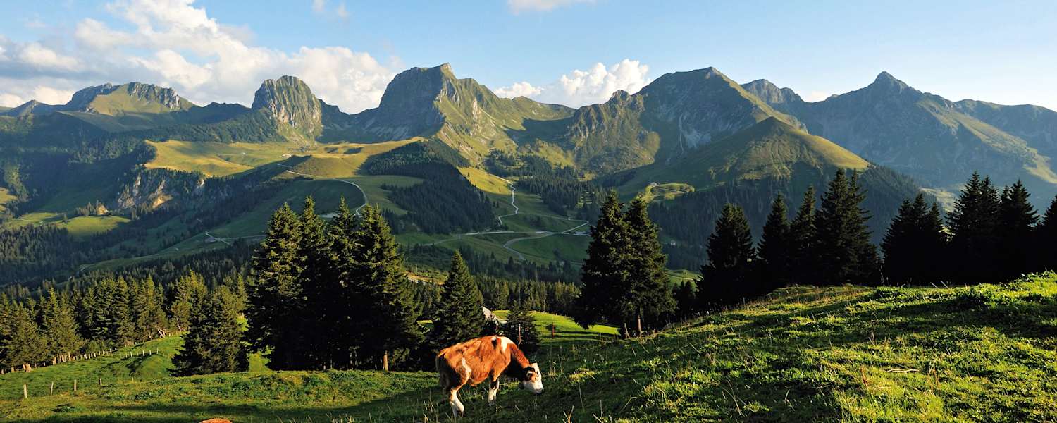 Schweiz Naturpark Gantrisch im Kanton Bern
