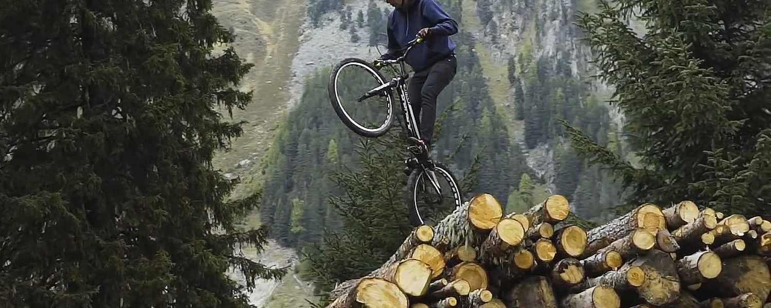 Sehnsuchtsort Wald: 8 Wanderungen