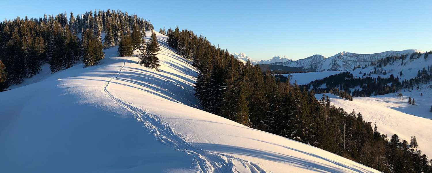 Feierabendrunde auf´s Zwölferhorn