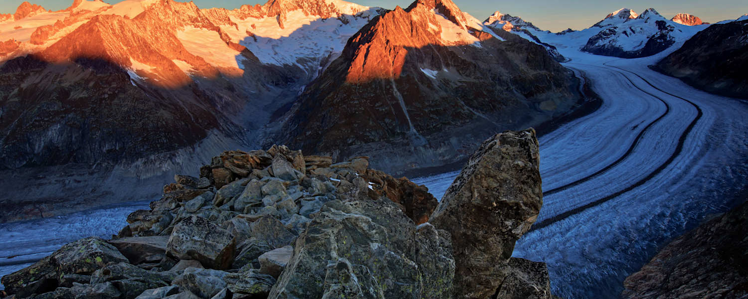 Berner Alpen: Aletschgletscher mit Aletschhorn
