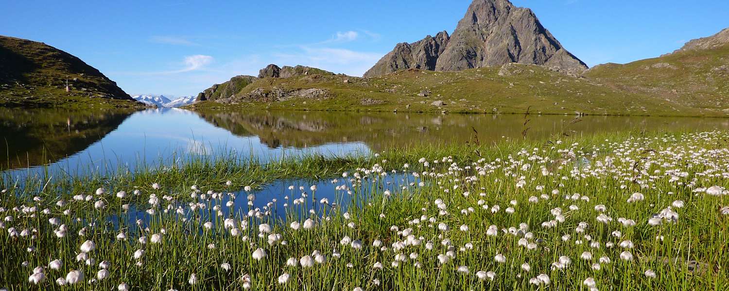 Lasörling Höhenweg in Osttirol: Am Arnitzsee im Virgental