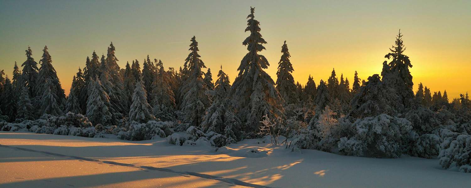 Schwarzwald im Winter: Baiersbronn in Baden-Württemberg