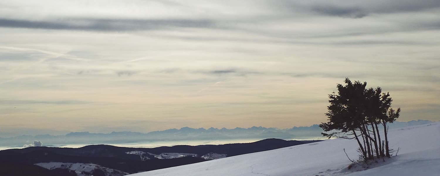 Belchengipfel im Schwarzwald