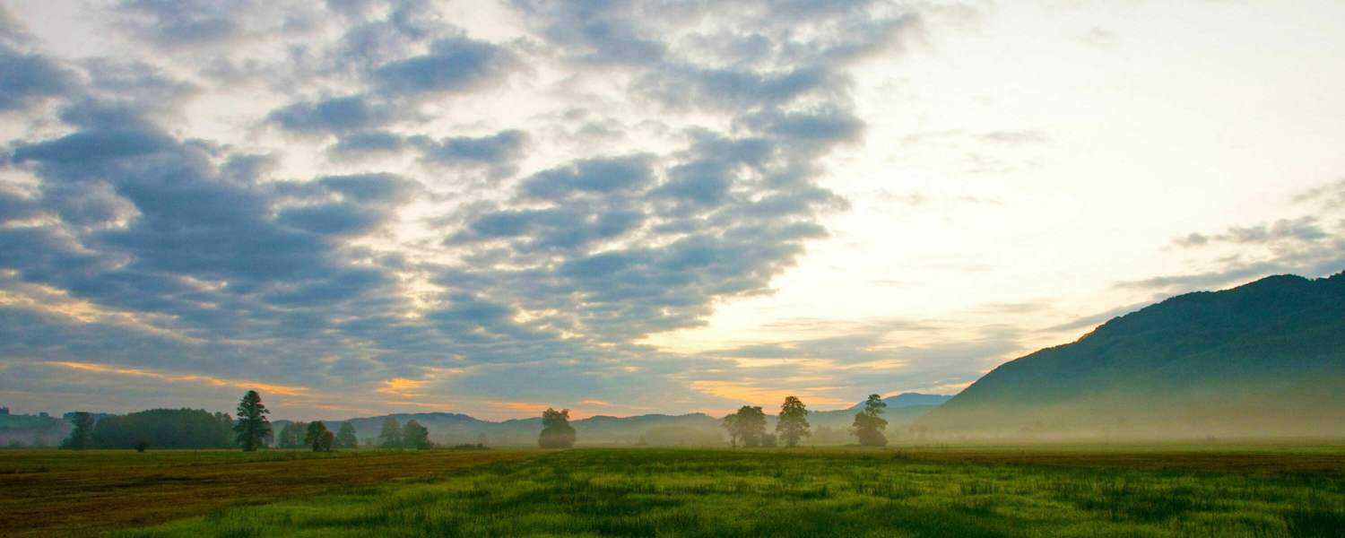 Bergener Moos im bayerischen Chiemgau