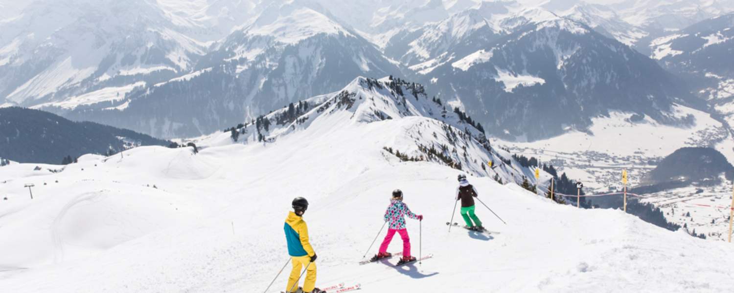 Bergwelten Skigebiete