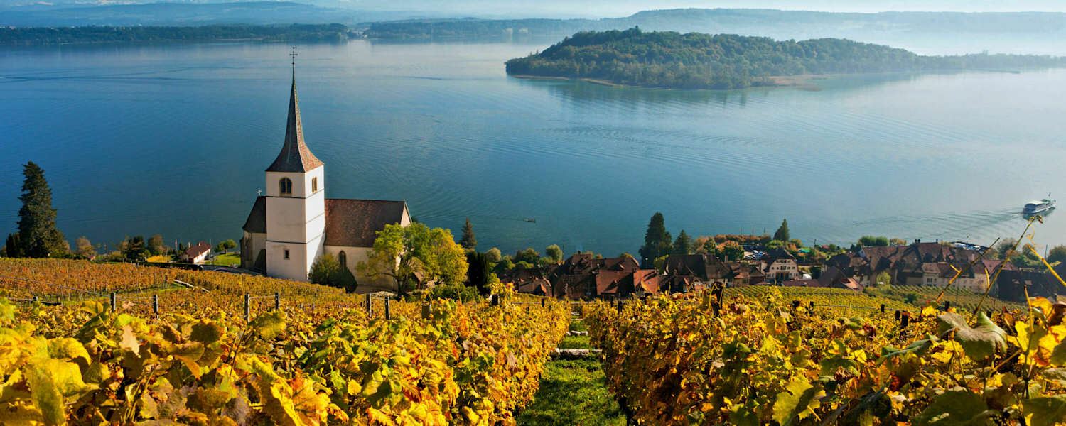 Rebberge am Bielersee im Kanton Bern: Blick auf den See mit der St. Petersinsel
