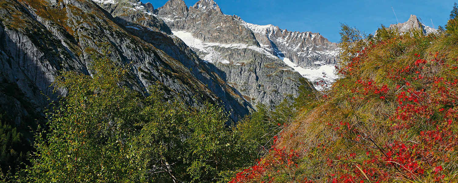 Höhenwege im Wallis: Wandern in der Bietschhorngruppe