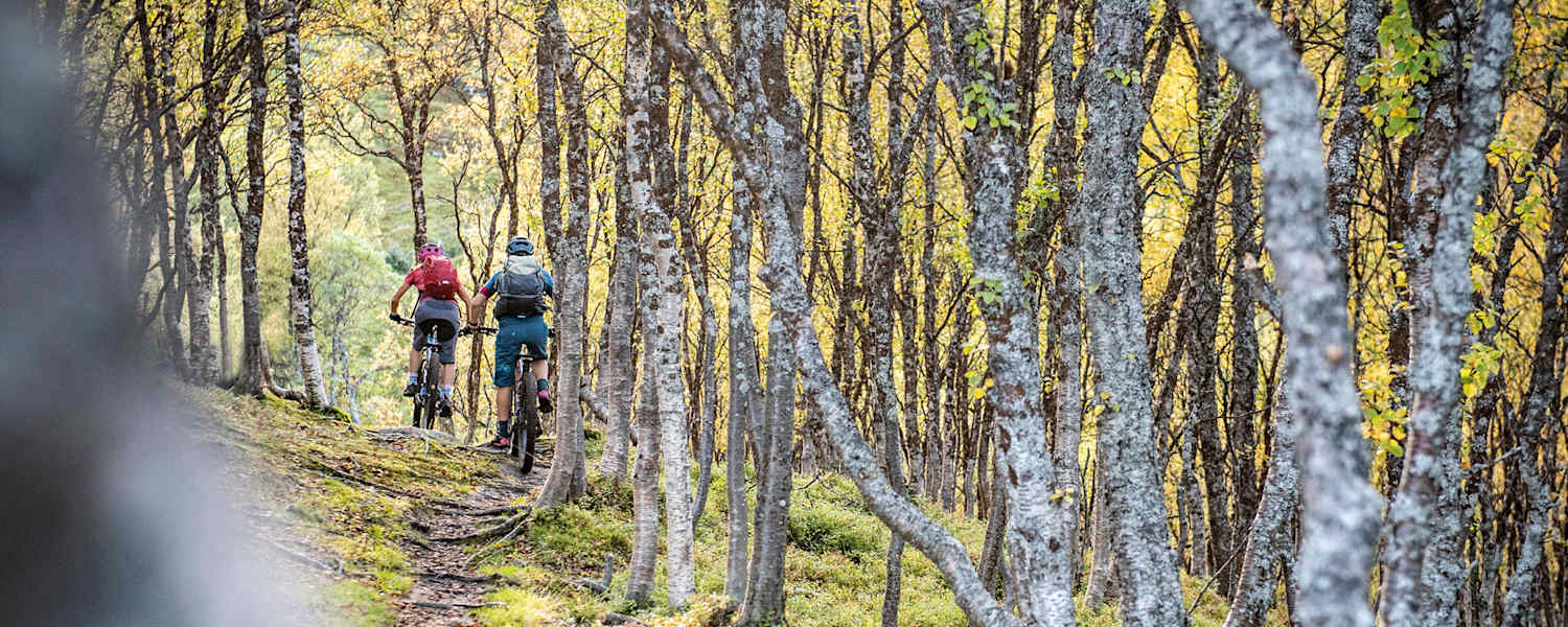 Bikefex Kalender 2021