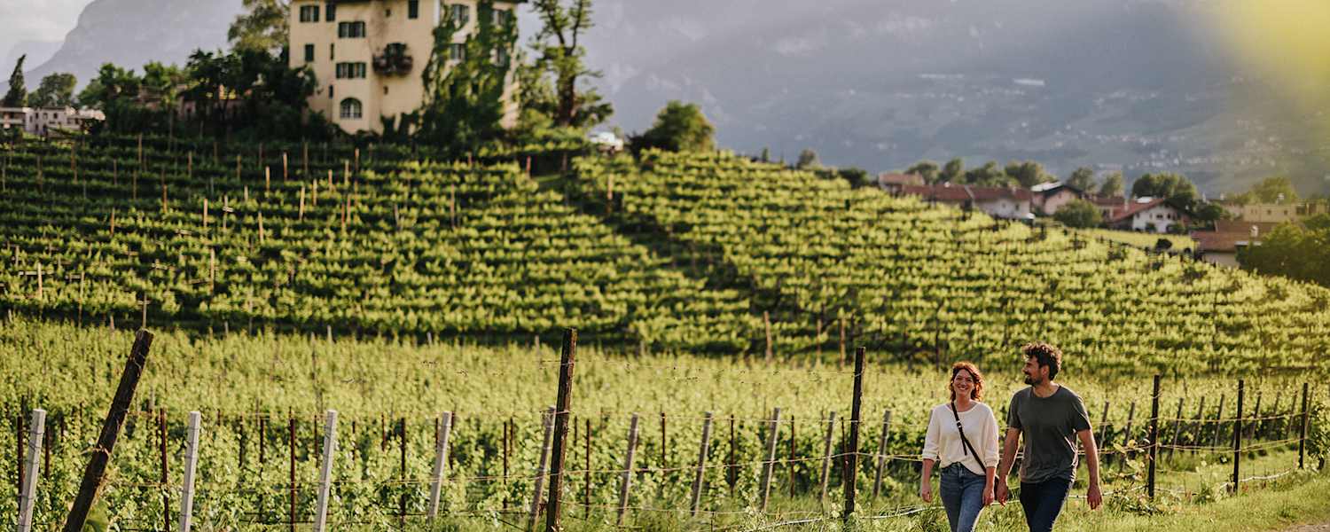 Sanfte Wanderwege entlang der Weinreben laden in Neumarkt zum Flanieren ein.