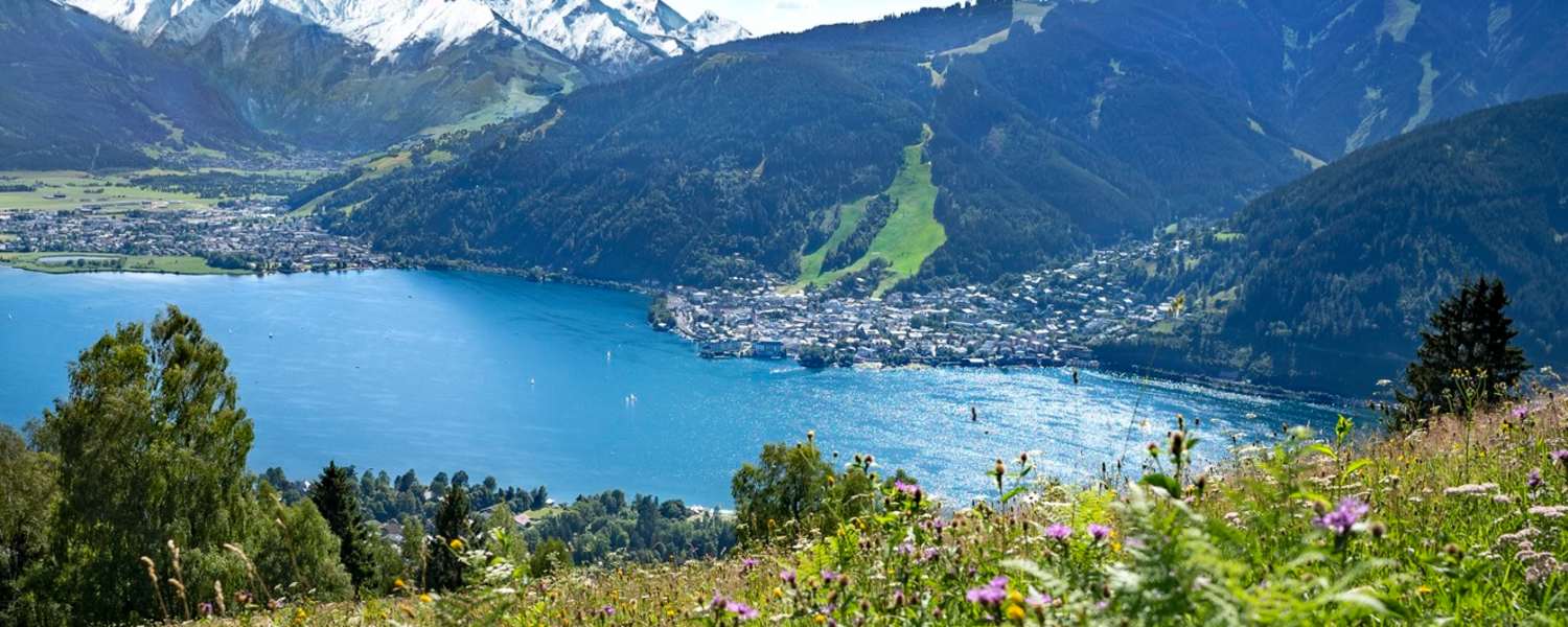 Blick auf Zell am See