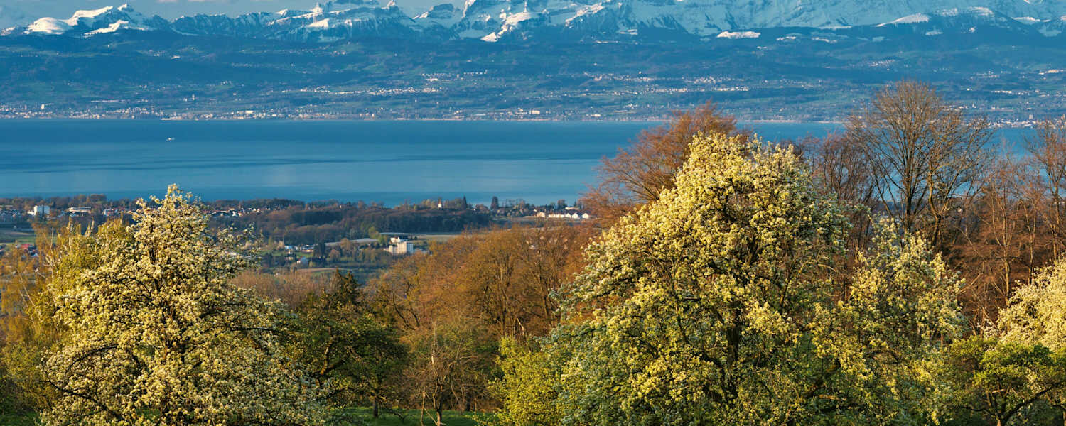 Konstanz in Baden-Württemberg: Bodensee mit Schweizer Alpen