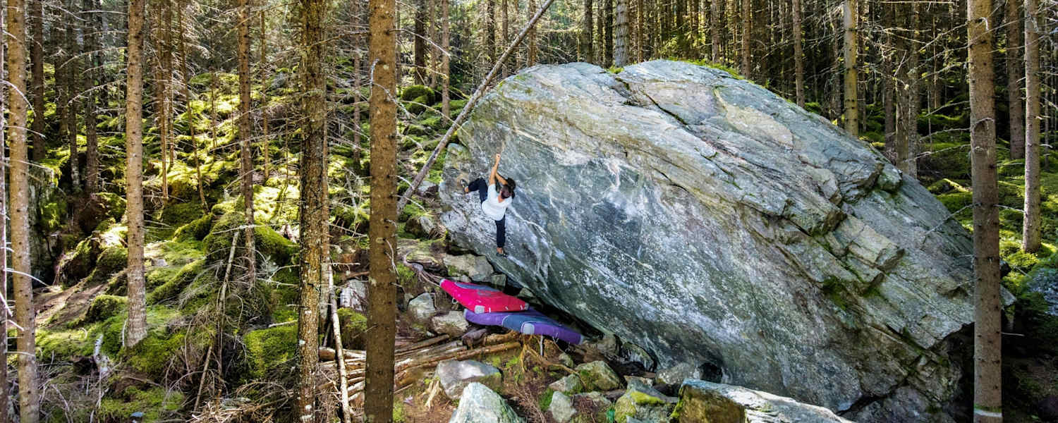 Große Gesteinsbrocken mitten im Wald.
