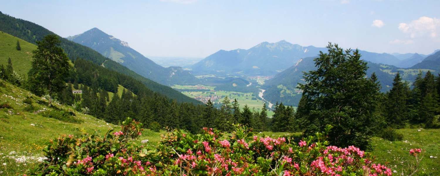 Wandern in den Chiemgauer Alpen: Auf den Breitenstein in Bayern