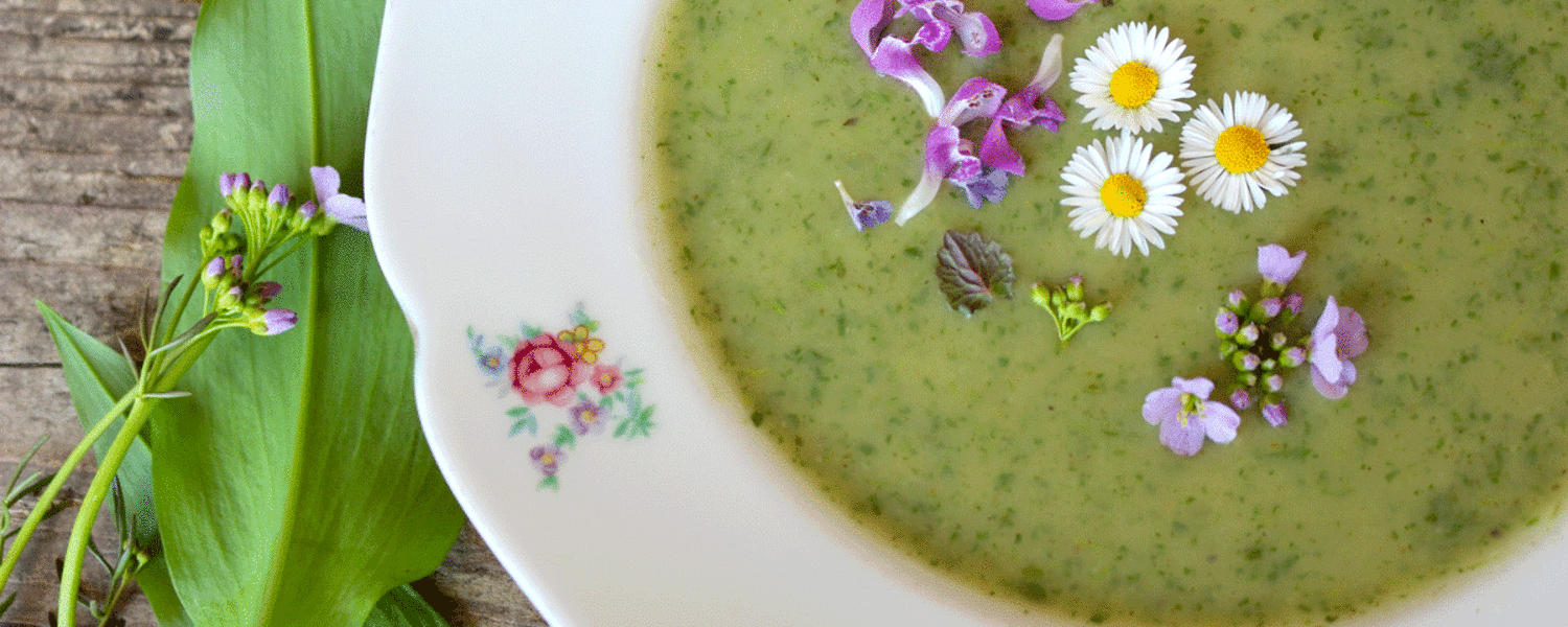 Brennnessel Suppe mit essbaren Blüten