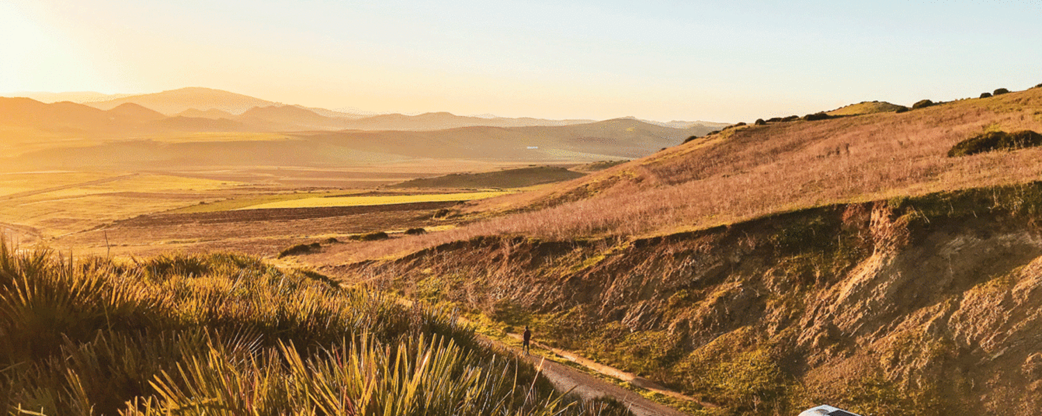 Laura Horvat Vanlife