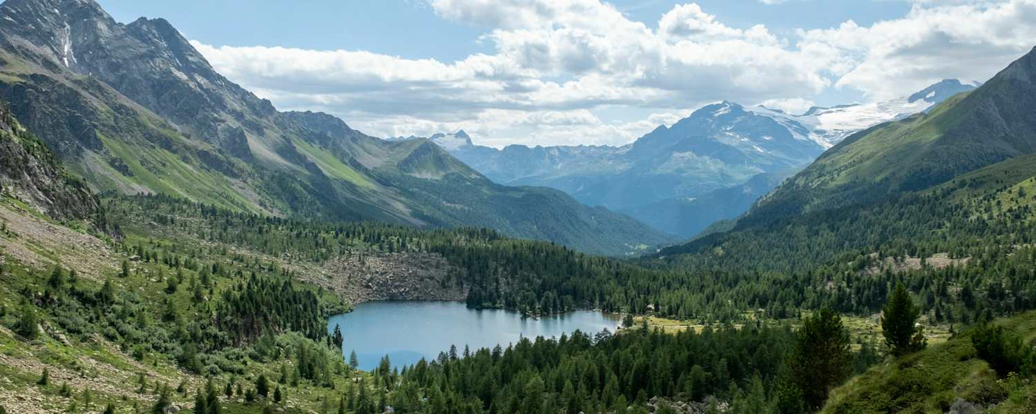 Val da Camp, Berninatrek