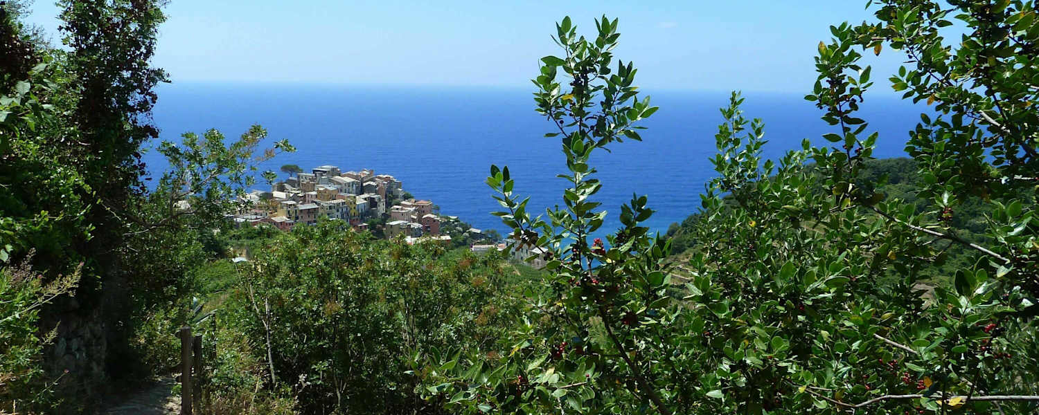 Cinque Terre - Wandern in Ligurien