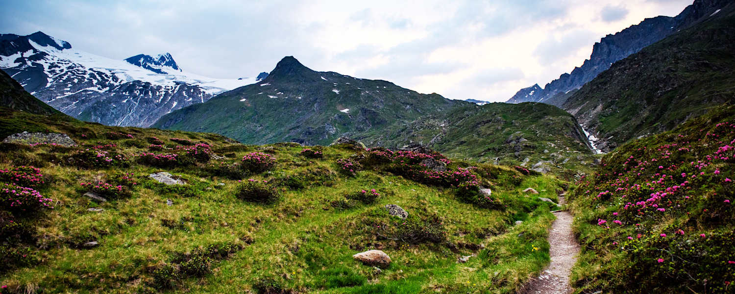 Clean Mountains: Großvenediger
