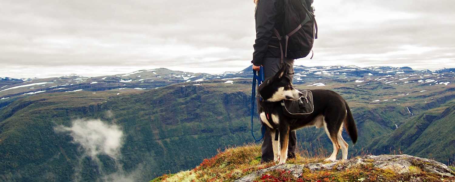 Wanderin mit ihrem Hund